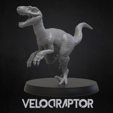 Velociraptor Bundle